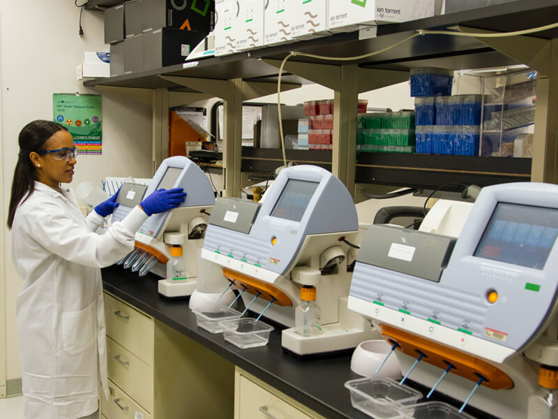 Doctors and Business