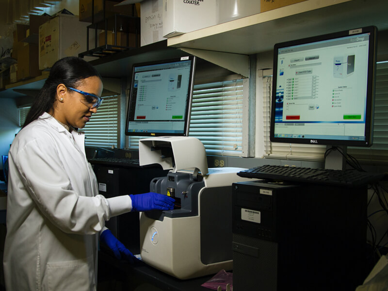 Coronial Investigations and Inquests